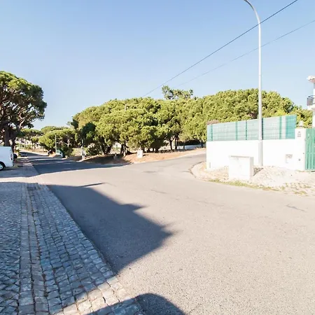 Pinhal Da Praia